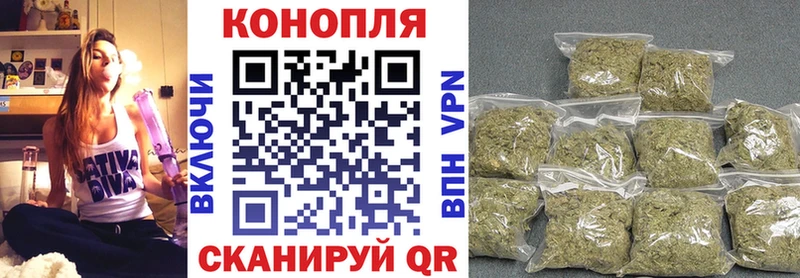 Шишки марихуана семена  Купить где  Нестеров 